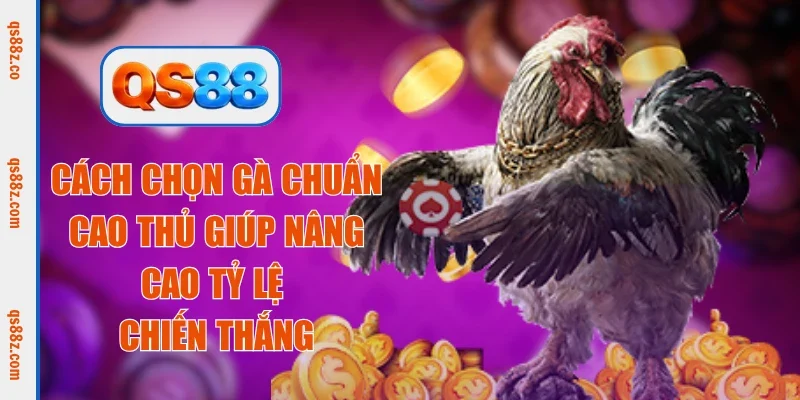 cách chọn gà